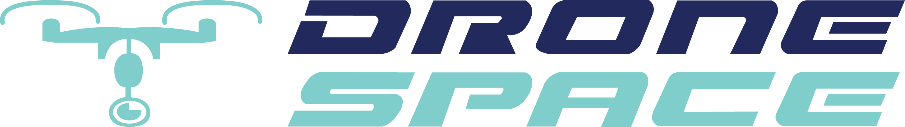 Drone Space Kenya Logo